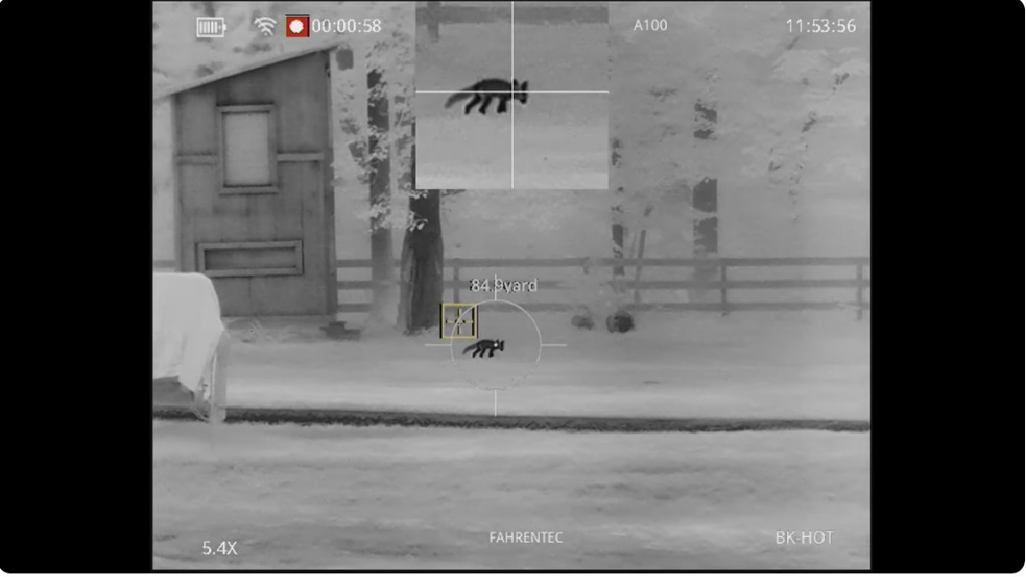 thermal scope used in predator control action