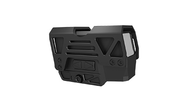 Turtle 31